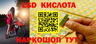 Альфа ПВП Аргун