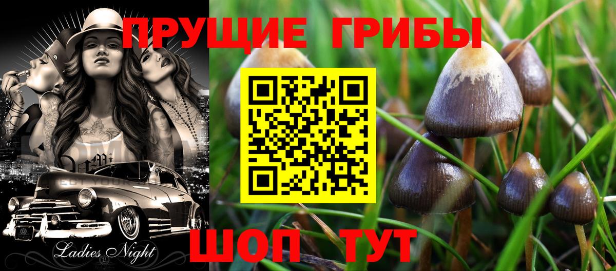 дарнет шоп  Вход с VPN  Верхняя Пышма  Псилоцибиновые грибы мицелий 